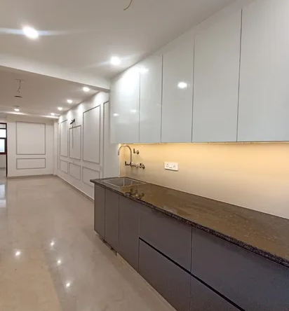 For Sale Newly Renovated 3 BHK First Floor MIG Flat with Wide Balcony in C3A Block Janakpuri